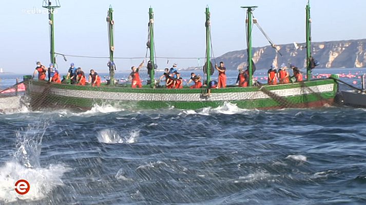 España Directo - España Directo - 22/05/20