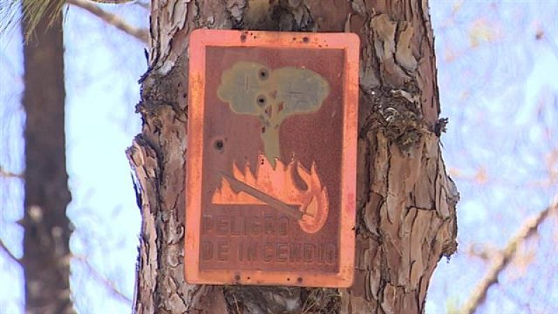  Telecanarias - 23/05/2020