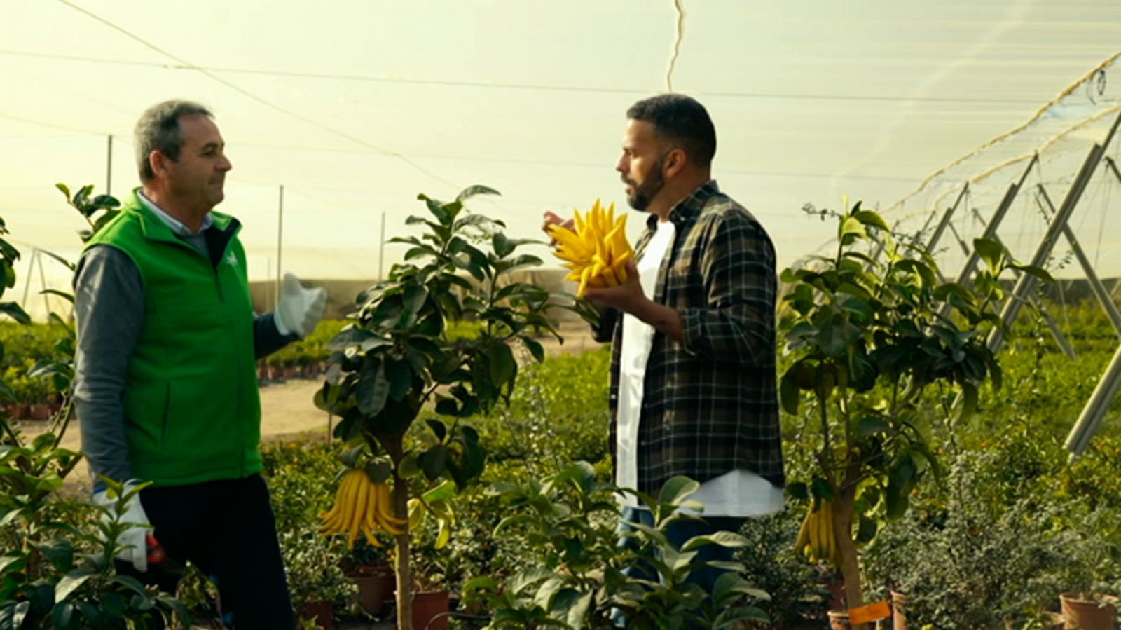 Las rutas d'Ambrosio - Valencia, el Levante acogedor - ver ahora