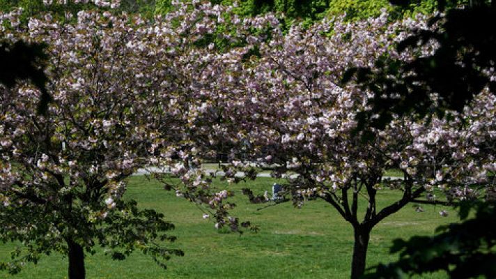 Temperaturas significativamente altas en  Canarias y en buena parte de la Península