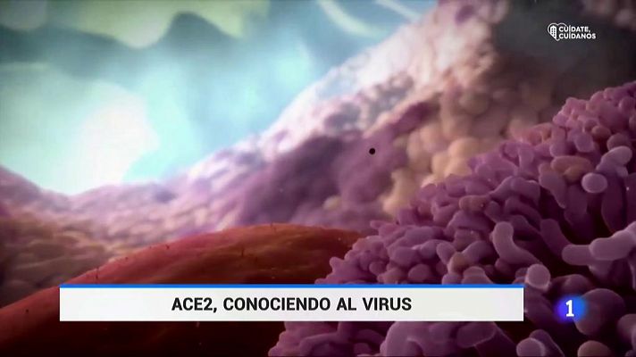 El Coronavirus trata diferente a hombres y mujeres