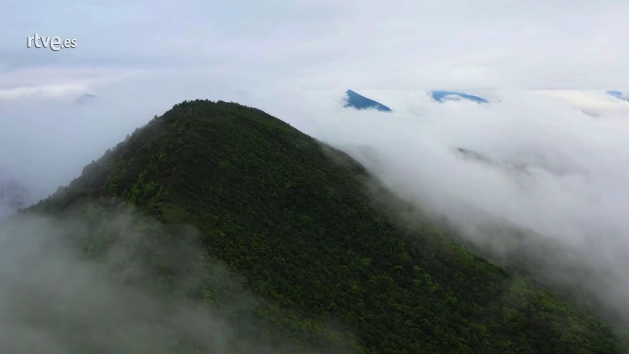 Palabra Voyeur - Era el único planeta que cantaba