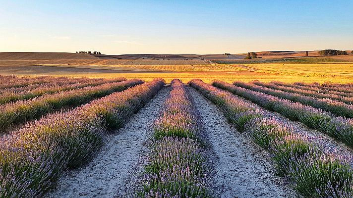 El tiempo - Tiempo seco y soleado en casi todo el país