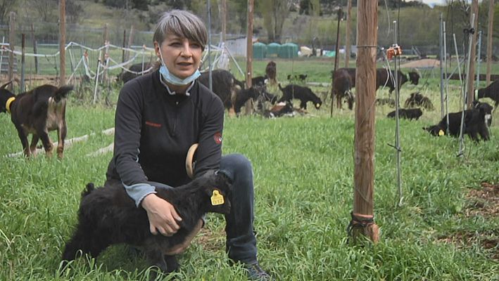 María Jesús, una artesana del queso 