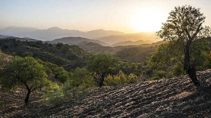 El tiempo - Tiempo seco y soleado con cielo poco nuboso en amplias zonas del país