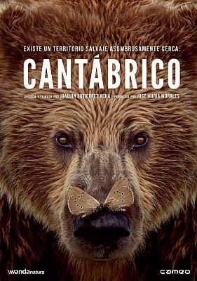 Cantábrico. Los dominios del oso pardo