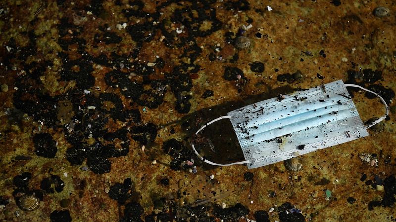 Mascarillas y guantes, la nueva contaminación de los mares | Ver