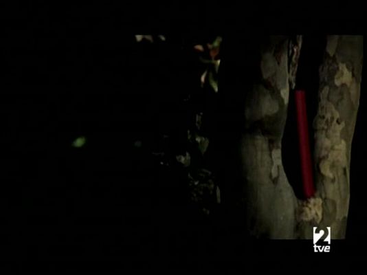 Página Dos - Página 2 - 01/06/08