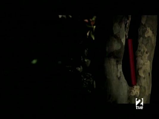 Página Dos - Página 2 - 22/06/08