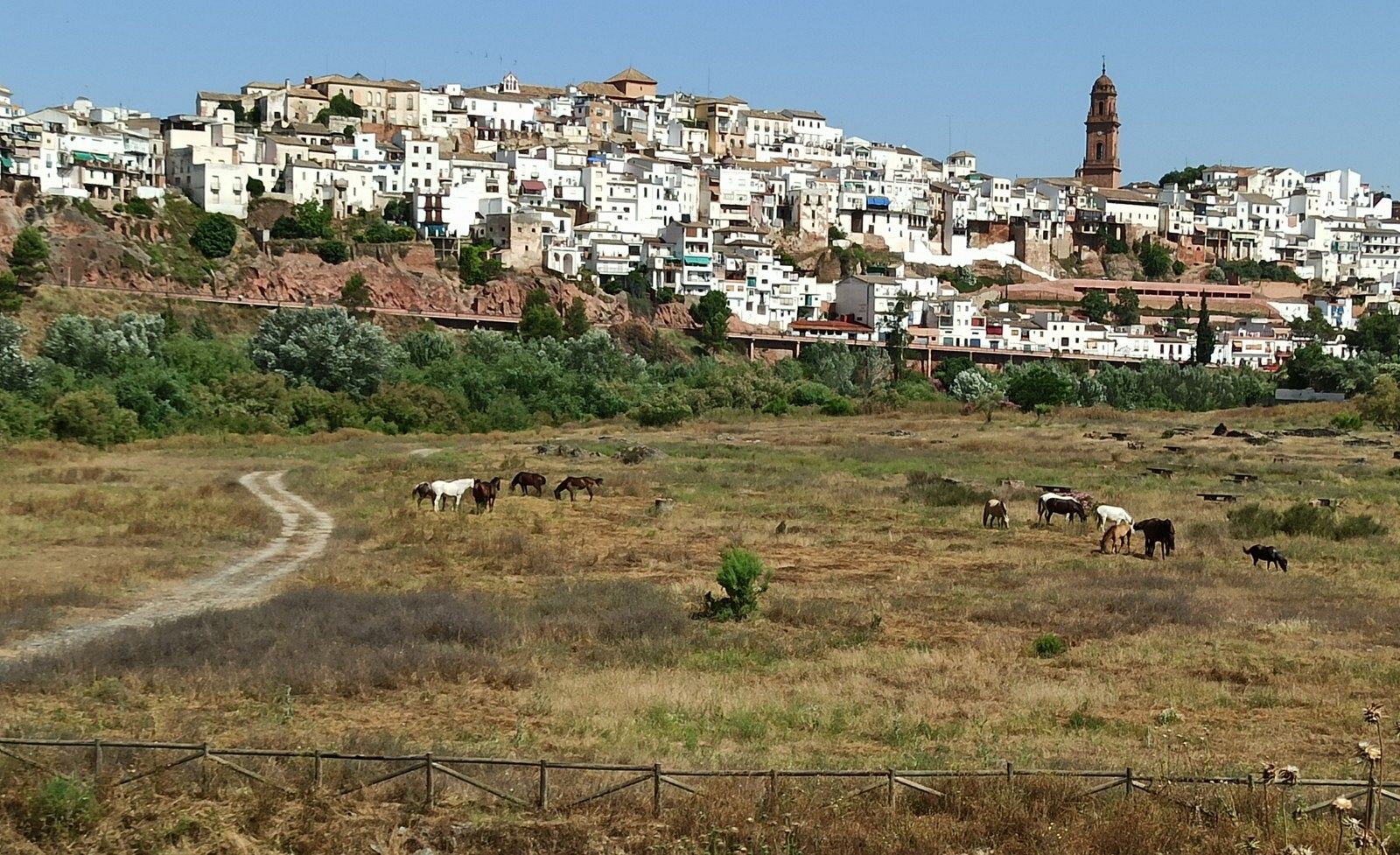 Montoro, el pueblo más caluroso de España - España Directo | Ver