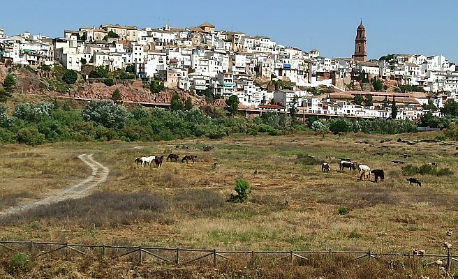 España Directo - El pueblo más caluroso de España