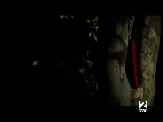 Página Dos - Página 2 - 18/05/08