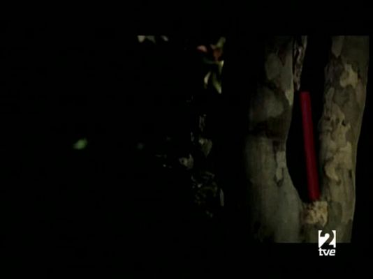 Página Dos - Página 2 - 18/05/08