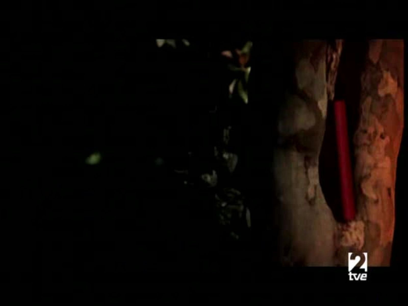 Página 2 - (11 mayo 2008) Personaje