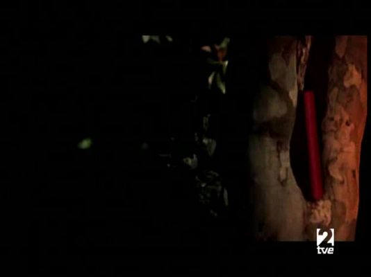 Página Dos - Página 2 - 11/05/08