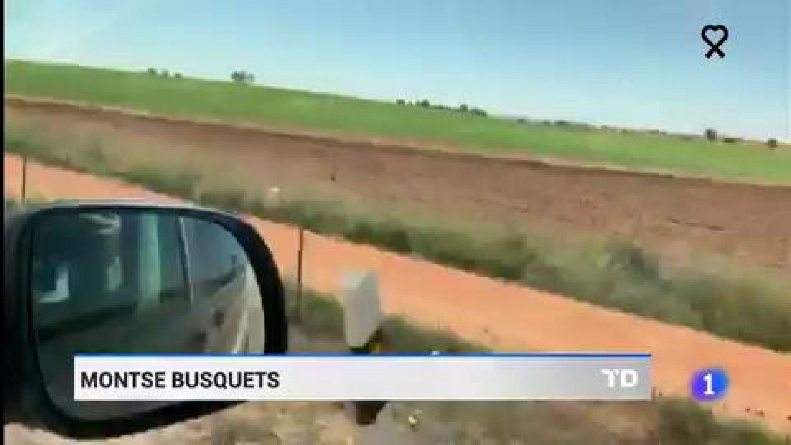 Cros se queda sin volar y no puede competir en Supercross | Ver