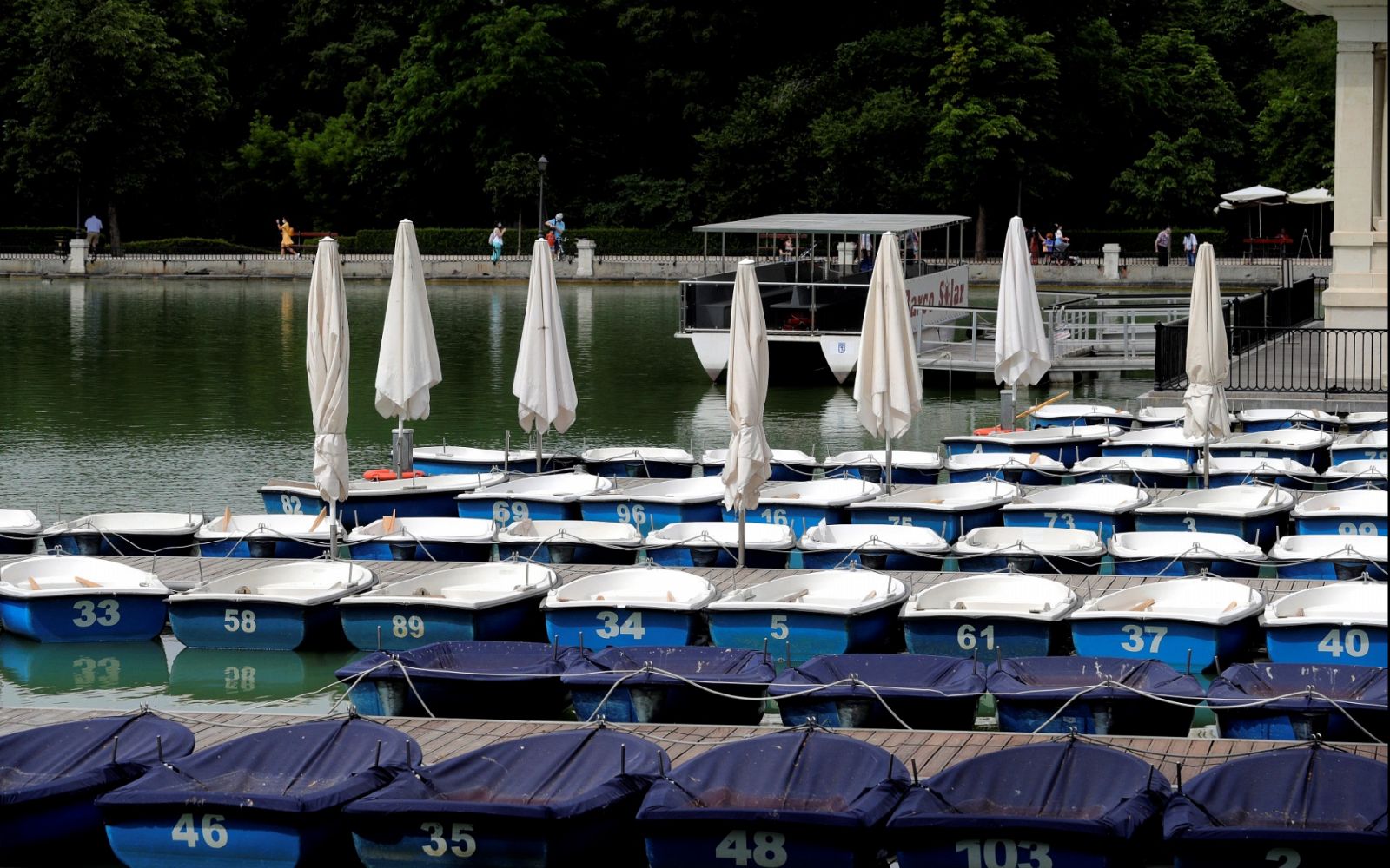 Especial Informativo - Coronavirus - 13 h. - 31/05/20 - ver ahora