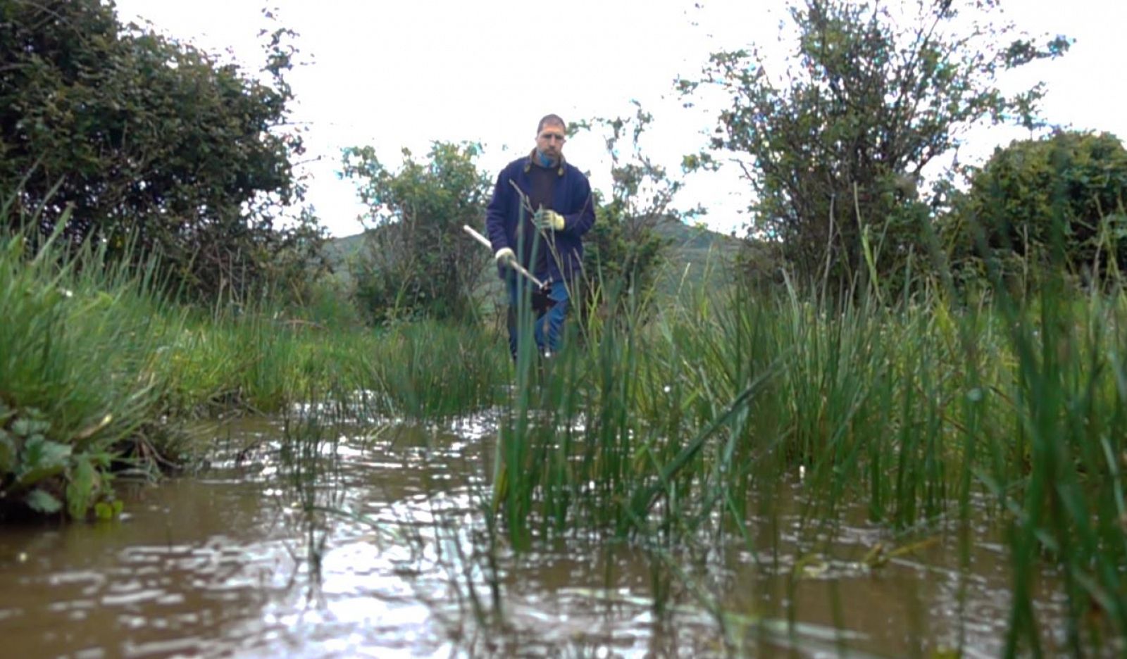 El antiguo trabajo de los pastores del agua 