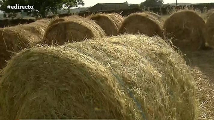 España Directo - España Directo - 01/06/20