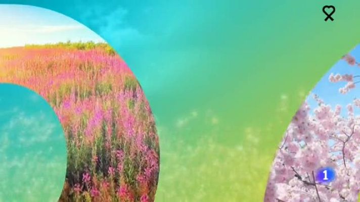 Noticias Aragón - El tiempo en Aragón - 02/06/2020