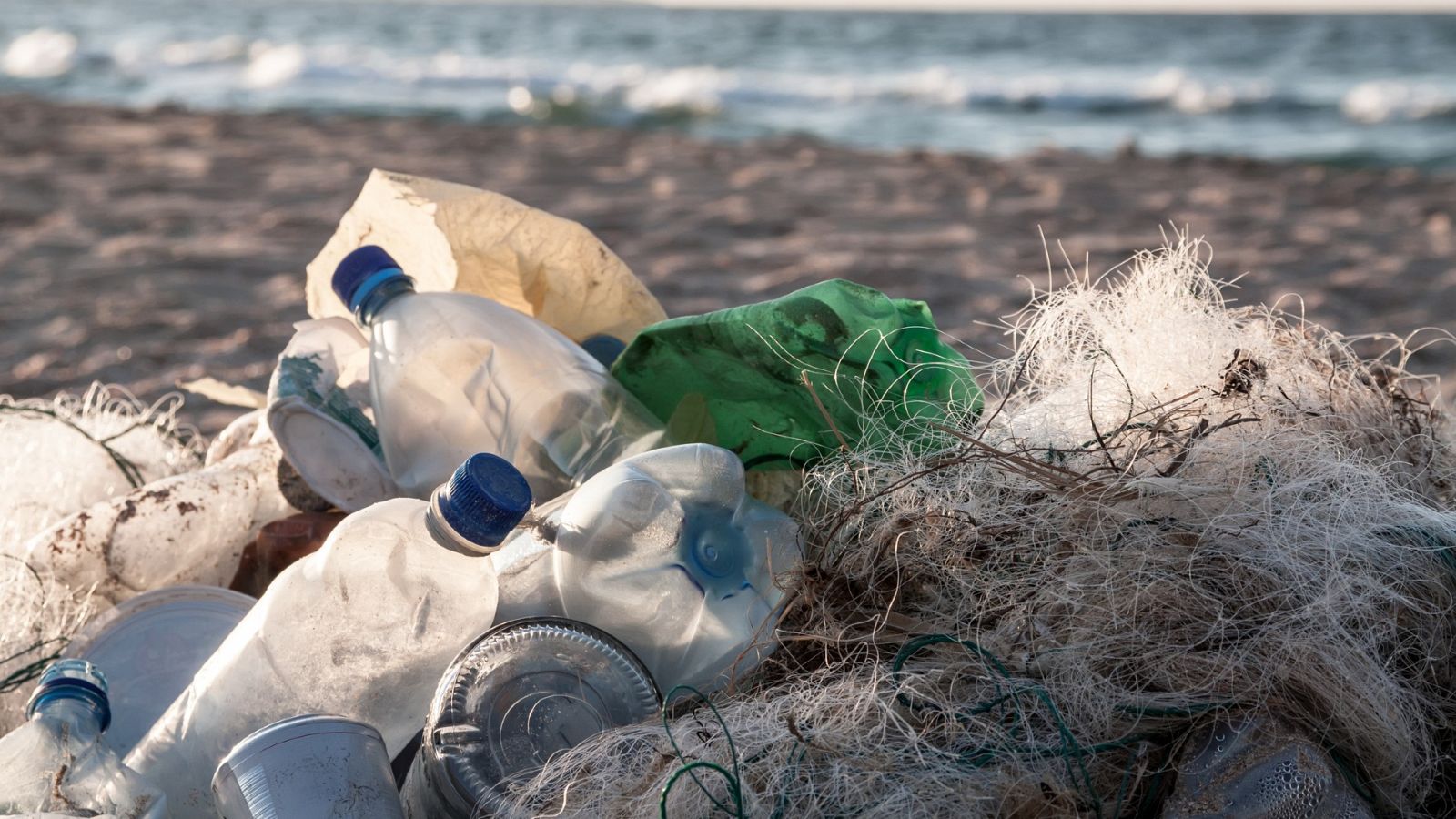 Ribera alerta del uso "desmedido" del plástico: "Cada año acaban 8 toneladas de plástico en los mares"