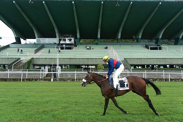 TDP Club - Guantes y mascarillas, la nueva realidad en las carreras de caballos