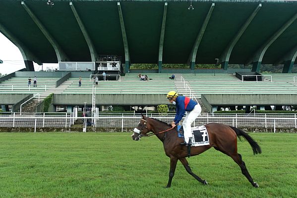TDP Club - Guantes y mascarillas, la nueva realidad en las carreras de caballos