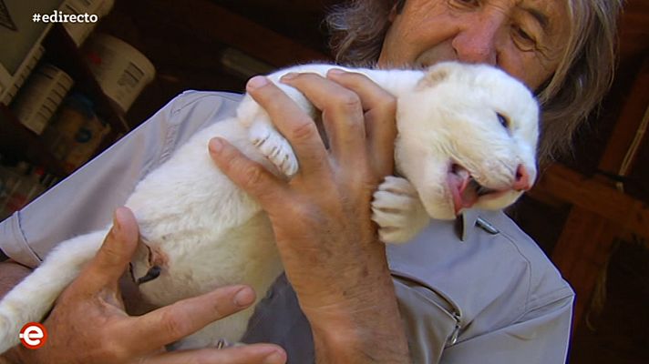 España Directo - España Directo - 03/06/20