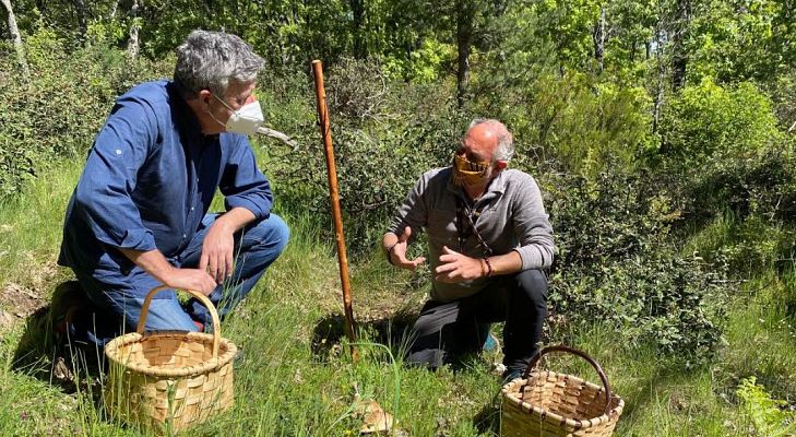 Aquí la Tierra - Setas de primavera, universo infinito