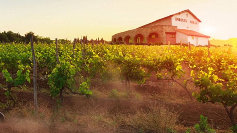 Vino ecológico y solidario en la localidad navarra de Lumbier