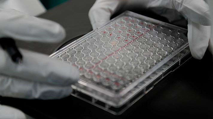 Telediario 1 - Un enfermero español probará la vacuna en la que trabaja la Universidad de Oxford