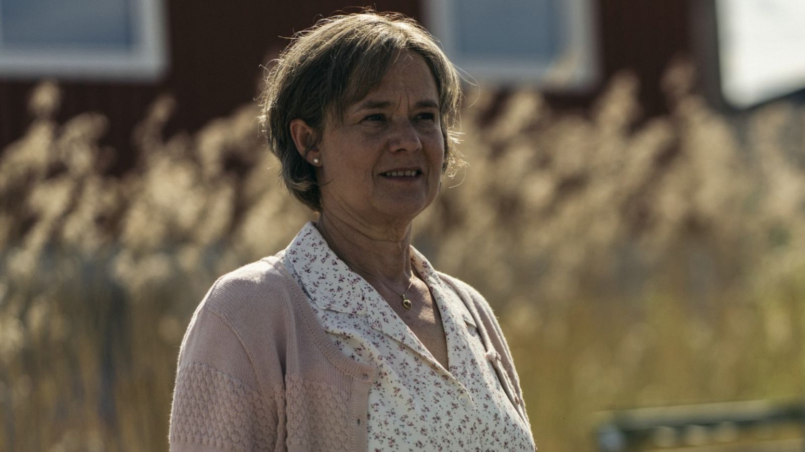 'La nueva vida de Britt-Marie'