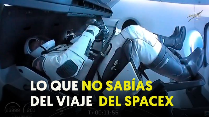 SPACEX: primera semana de la vuelta de la NASA al espacio