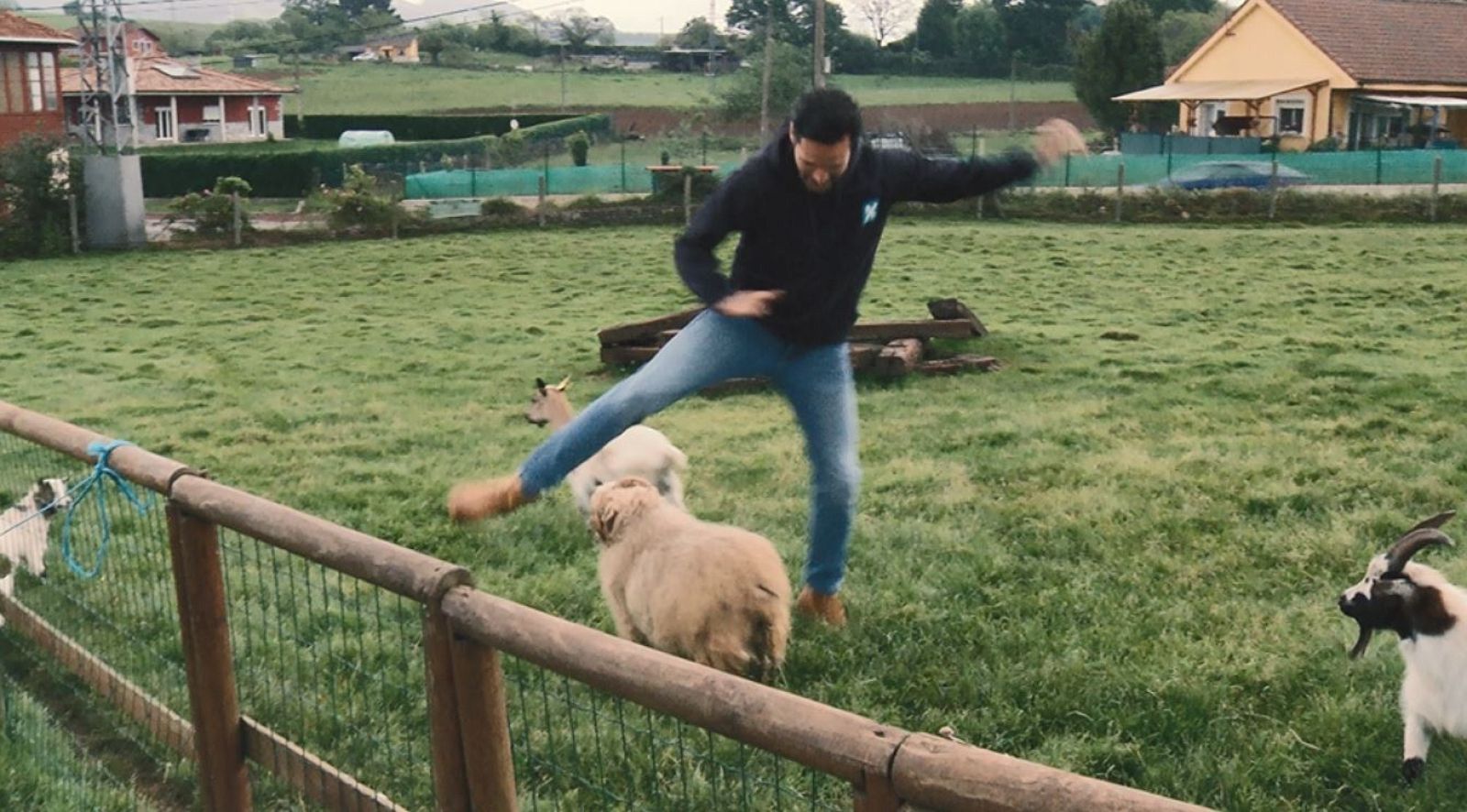 Animales con mucho carácter