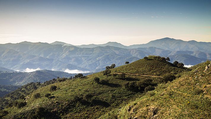 Sierra de Grazalema