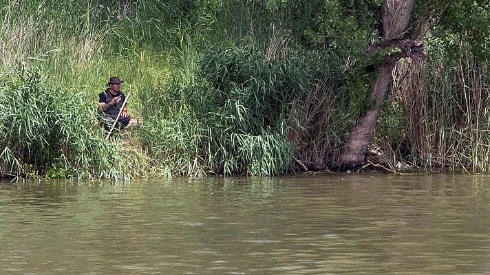 Buscan un cocodrilo avistado en la confluencia de los ríos Duero y Pisuerga, en Valladolid