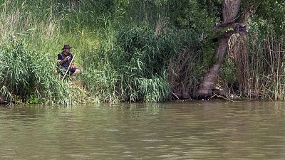 Buscan un cocodrilo avistado en la confluencia de los ros Duero y Pisuerga, en Valladolid