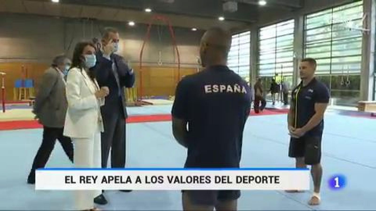 Deportes | El rey pone como ejemplo el espíritu de los los deportistas para superar la crisis 