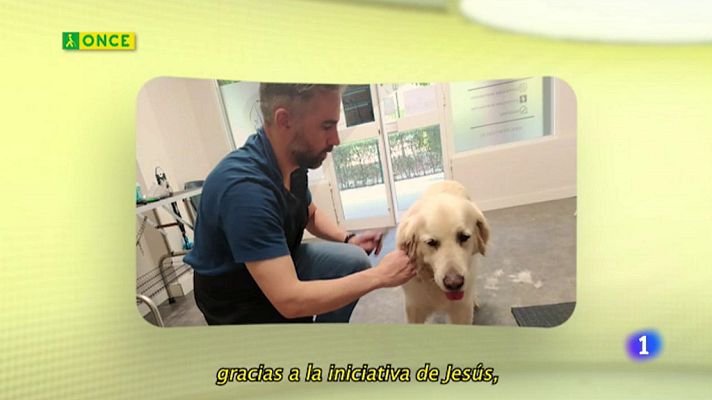 Sorteos ONCE - ONCE - 08/06/20