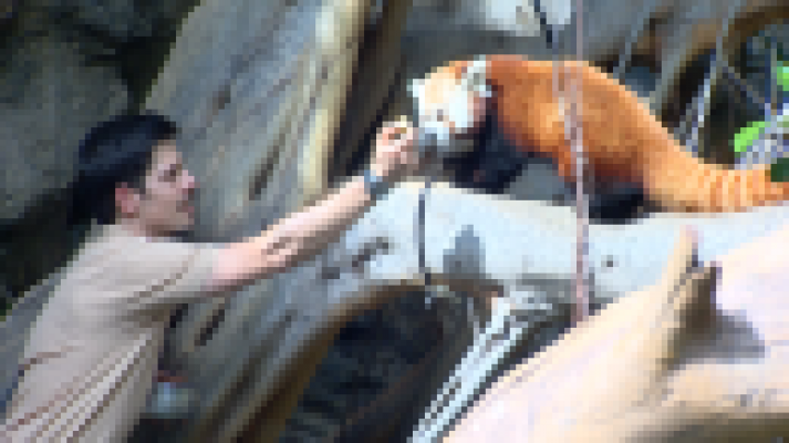 Telecanarias - Telecanarias 2 - 08/06/2020