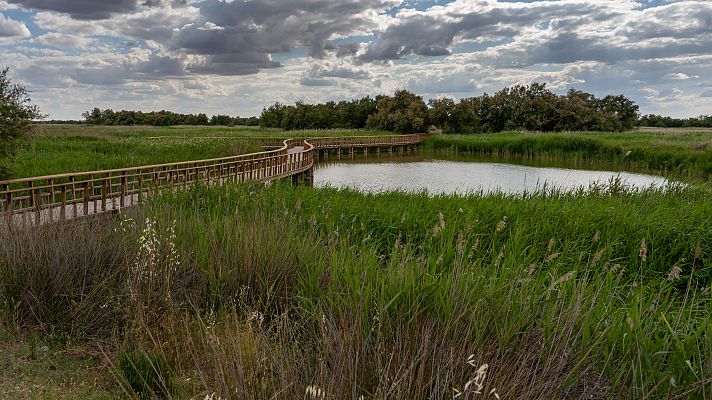  - Las familias, uno de los principales públicos de las Tablas de Daimiel