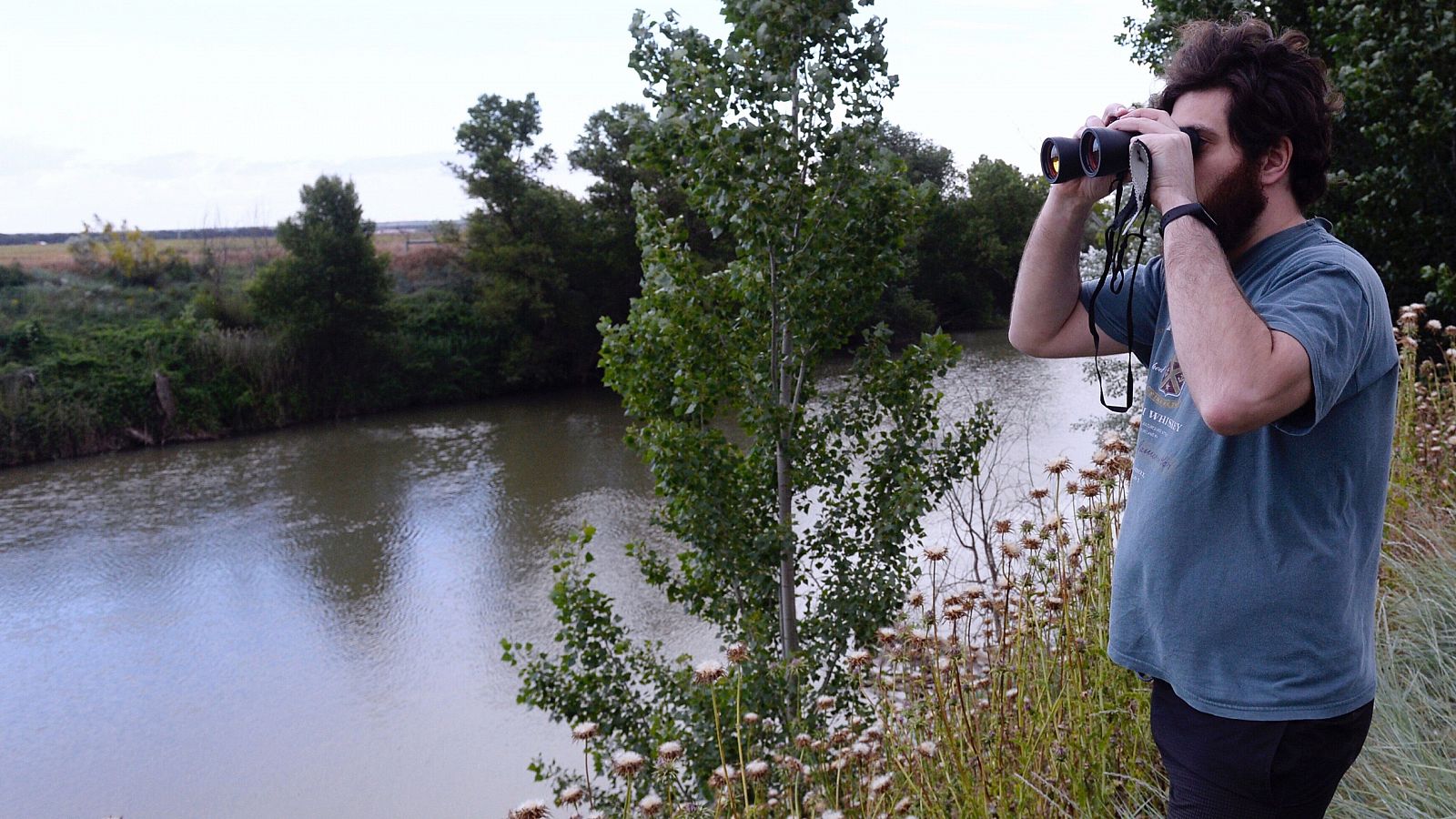 Telediario 1: Se mantiene la búsqueda de un cocodrilo en el río Pisuerga | RTVE Play