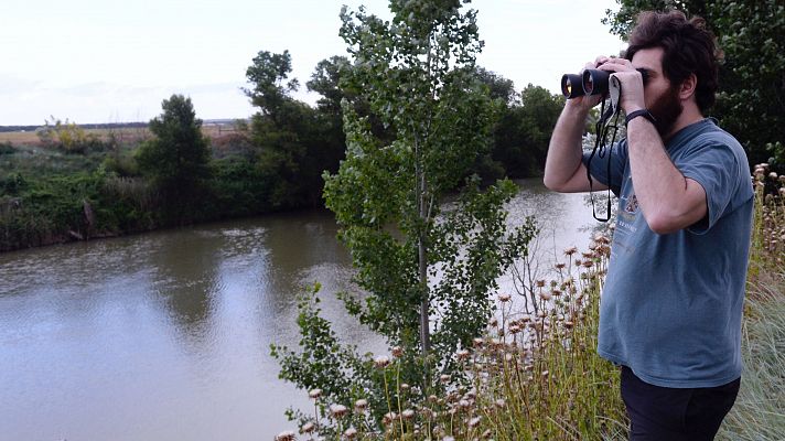 Se mantiene la búsqueda de un cocodrilo en el río Pisuerga