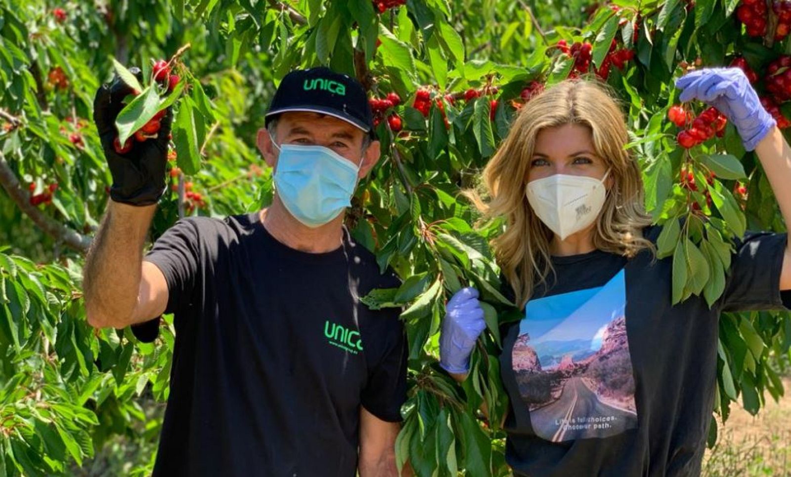 En Almería, ¡hasta cerezas!
