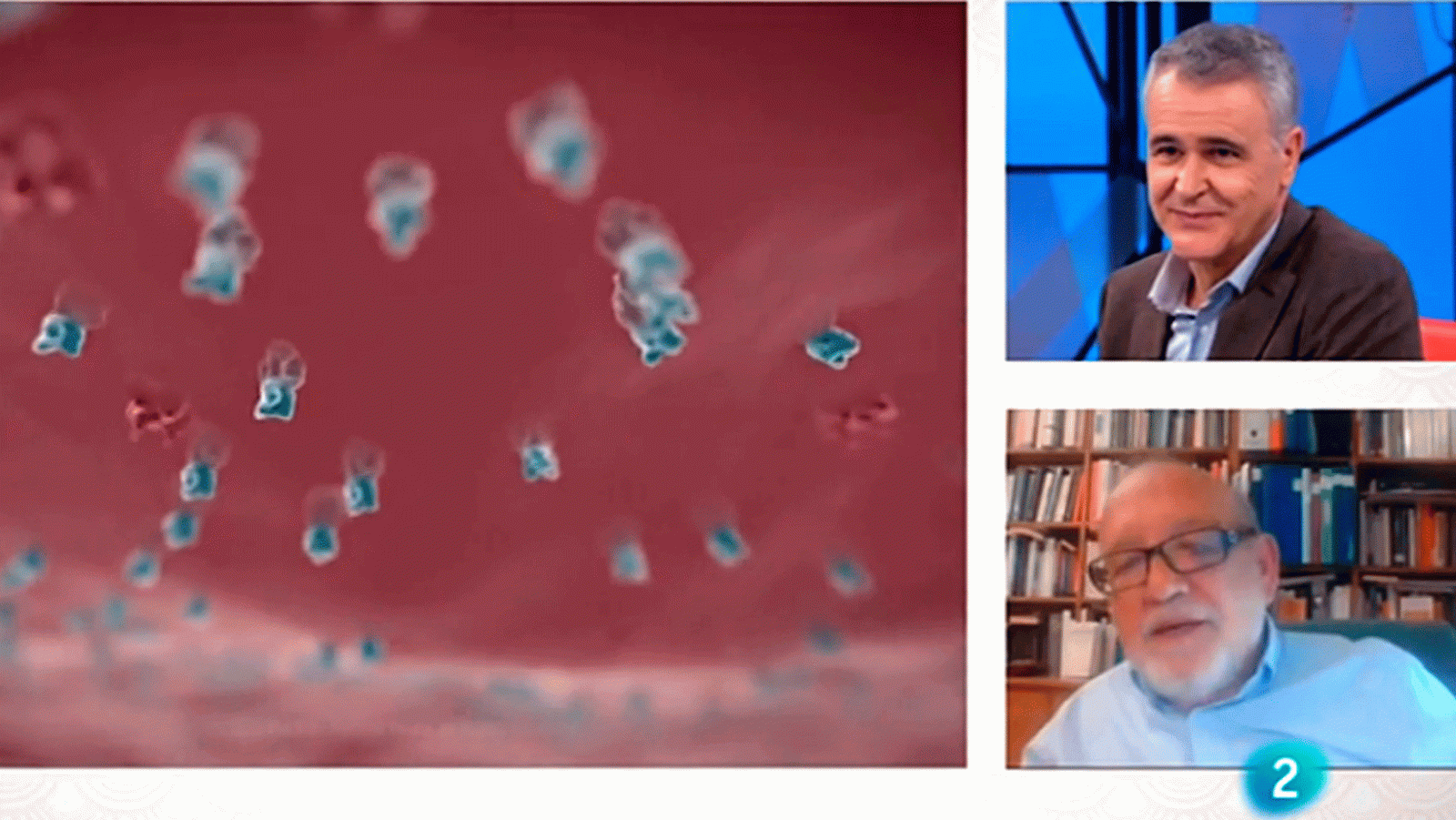 La aventura del saber. Las enseñanzas morales que podemos sacar del confinamiento