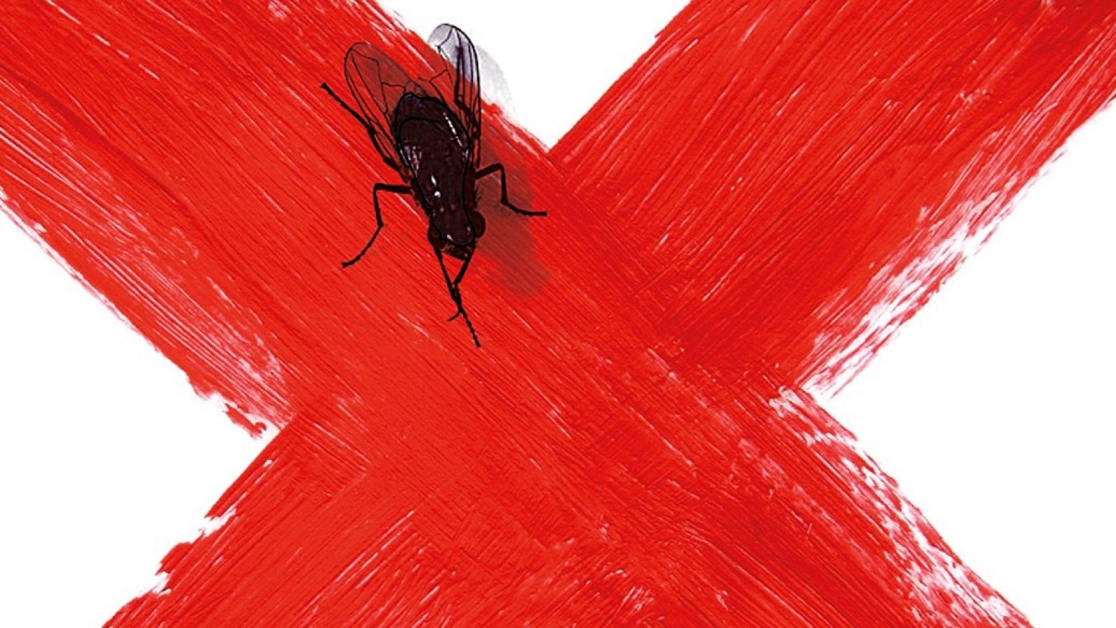 Escritoras que no quieren dar su nombre | Ver