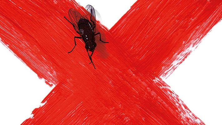 Telediario 1 - Escritoras que no quieren dar su nombre