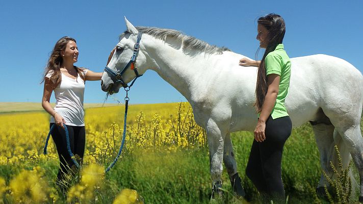 Modo Digital - Así se recuperan los adolescentes afectados psicológicamente por la pandemia