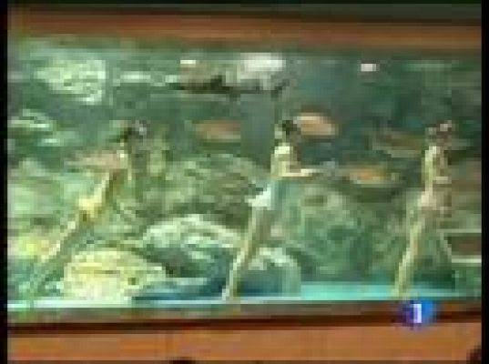  - Homenaje a Jackson bajo el agua