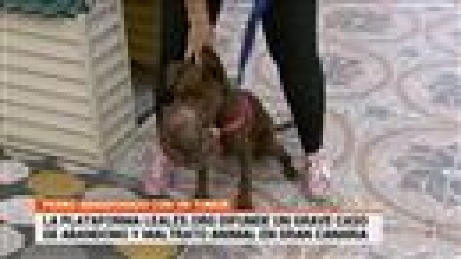 Cerca de ti - 12/06/2020